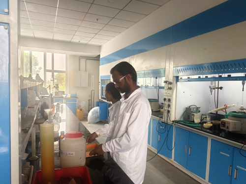 Stores & Inventory Management